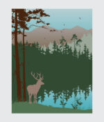 Forest Serenity