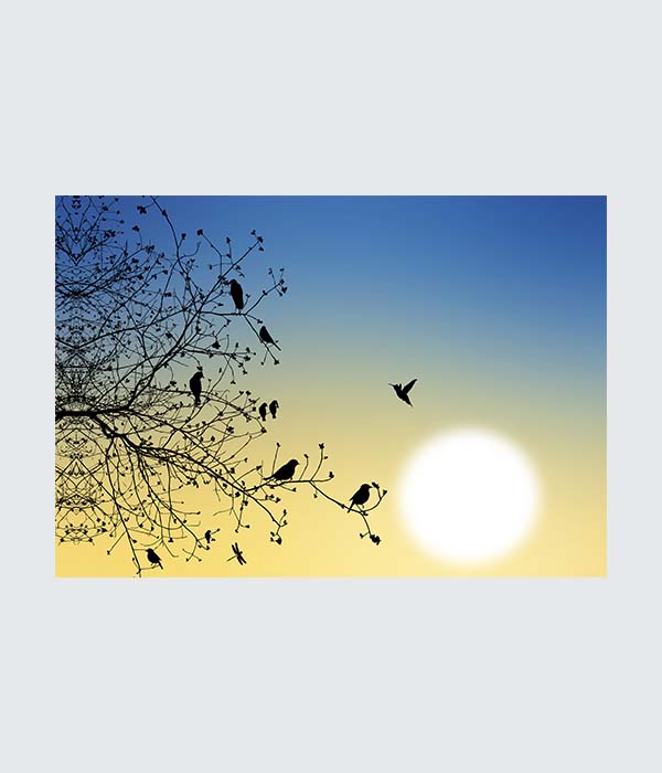 d_84a (1) Golden Hour Songbird Serenade - Image 1