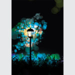 Ethereal Lantern Glow Canvas