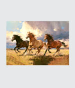 Wild Spirits: Galloping Stallions Canvas - 3 Horses