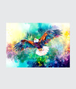 Wings of Freedom
