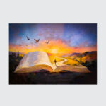 Journey Beyond Pages