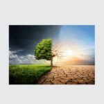 Nature’s Last Divide