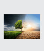 Nature’s Last Divide