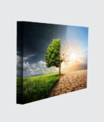 Nature’s Last Divide - Image 2