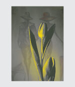 Echoes of a Tulip Dream