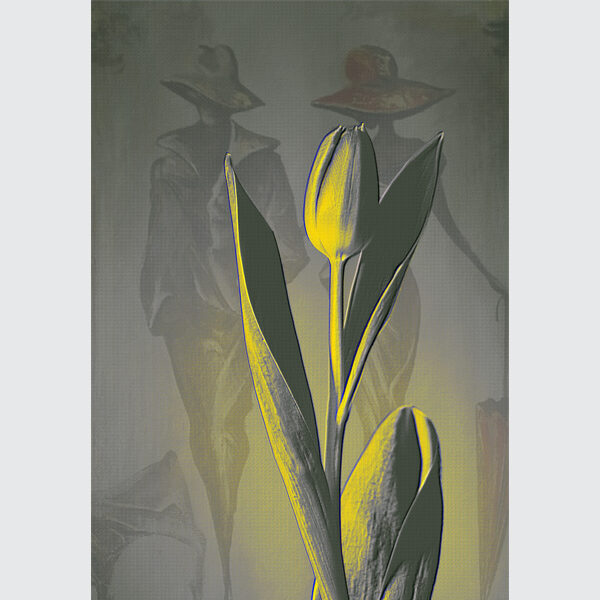 Echoes of a Tulip Dream