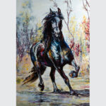 Midnight Gallop in Color