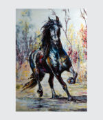 Midnight Gallop in Color