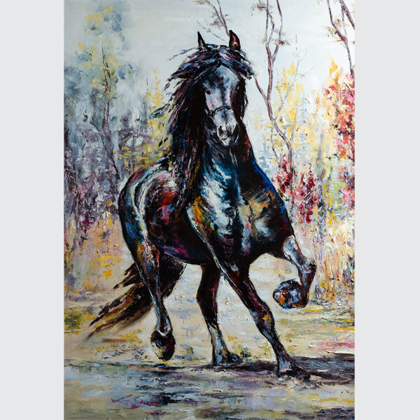 Midnight Gallop in Color