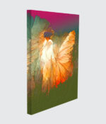 Wings of Dawn Light - Image 2