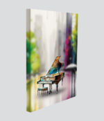 Melody of Colors - Image 2