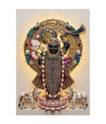 Divine Krishna – The Royal Peacock Splendor