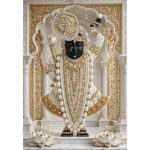 Divine Elegance – Shrinathji
