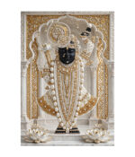 Divine Elegance – Shrinathji